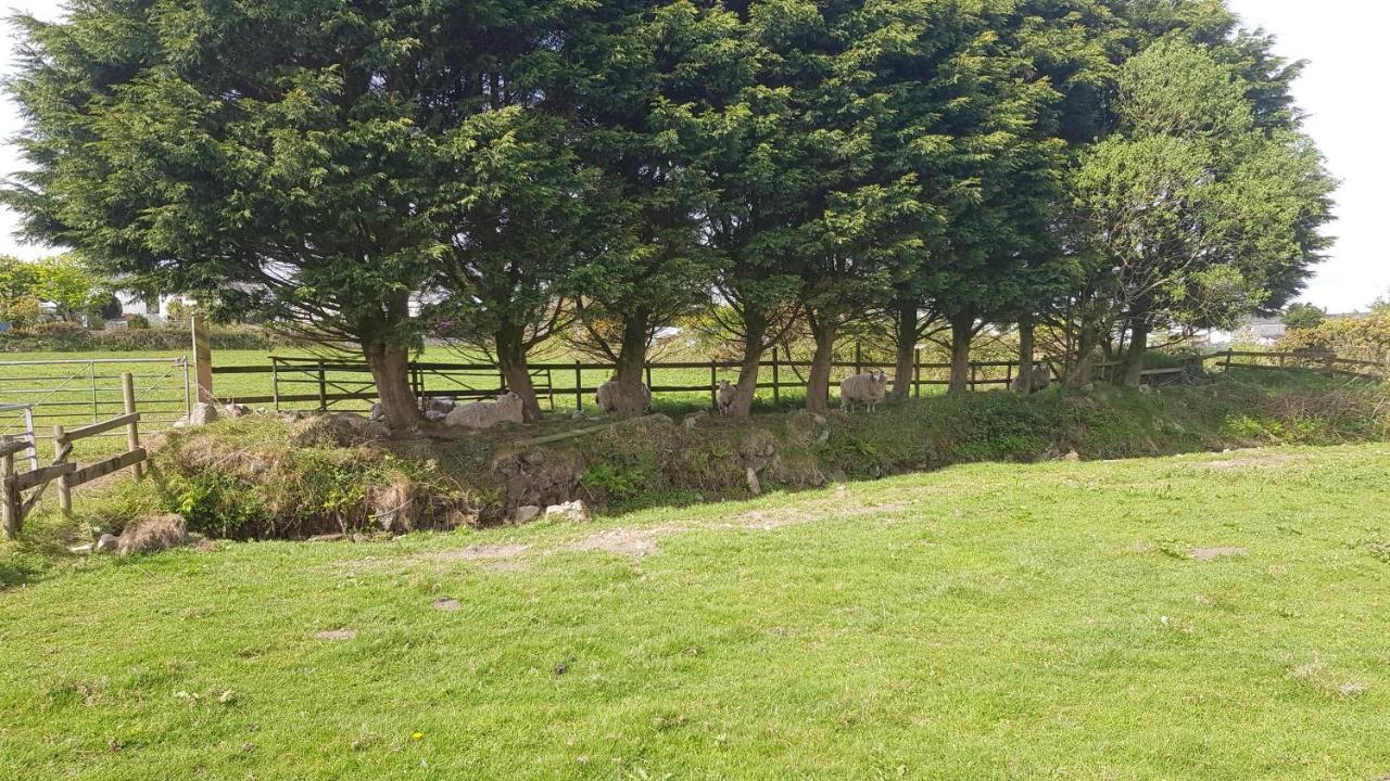 Cornish Skies Glamping Pool Exterior photo